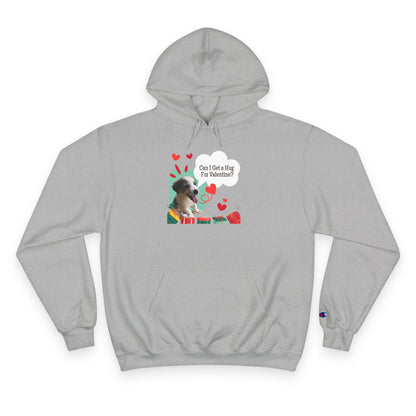 Valentine Sloth Hoodie - 'Can I Get a Hug For Valentine?' Cute Gift Pullover