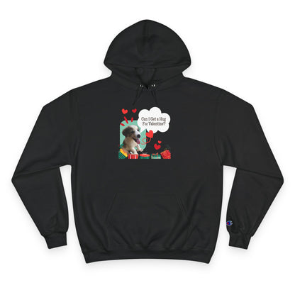 Valentine Sloth Hoodie - 'Can I Get a Hug For Valentine?' Cute Gift Pullover