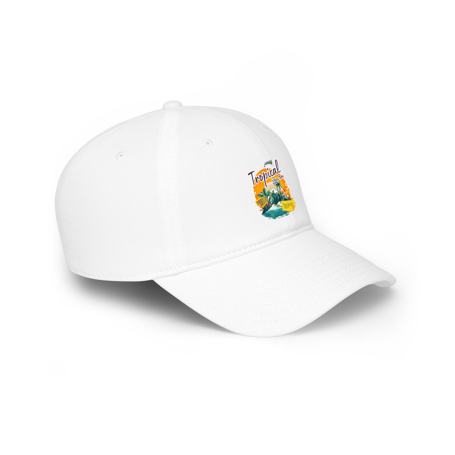 Low Profile Baseball Cap