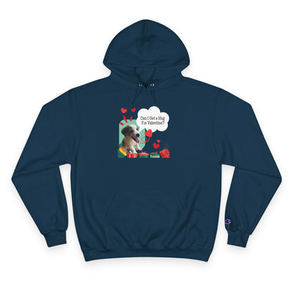 Valentine Sloth Hoodie - 'Can I Get a Hug For Valentine?' Cute Gift Pullover