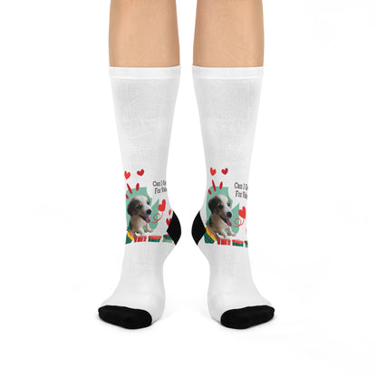 Valentine’s Dog Crew Socks — “Can I Get a Hug For Valentine?” Cushioned Socks